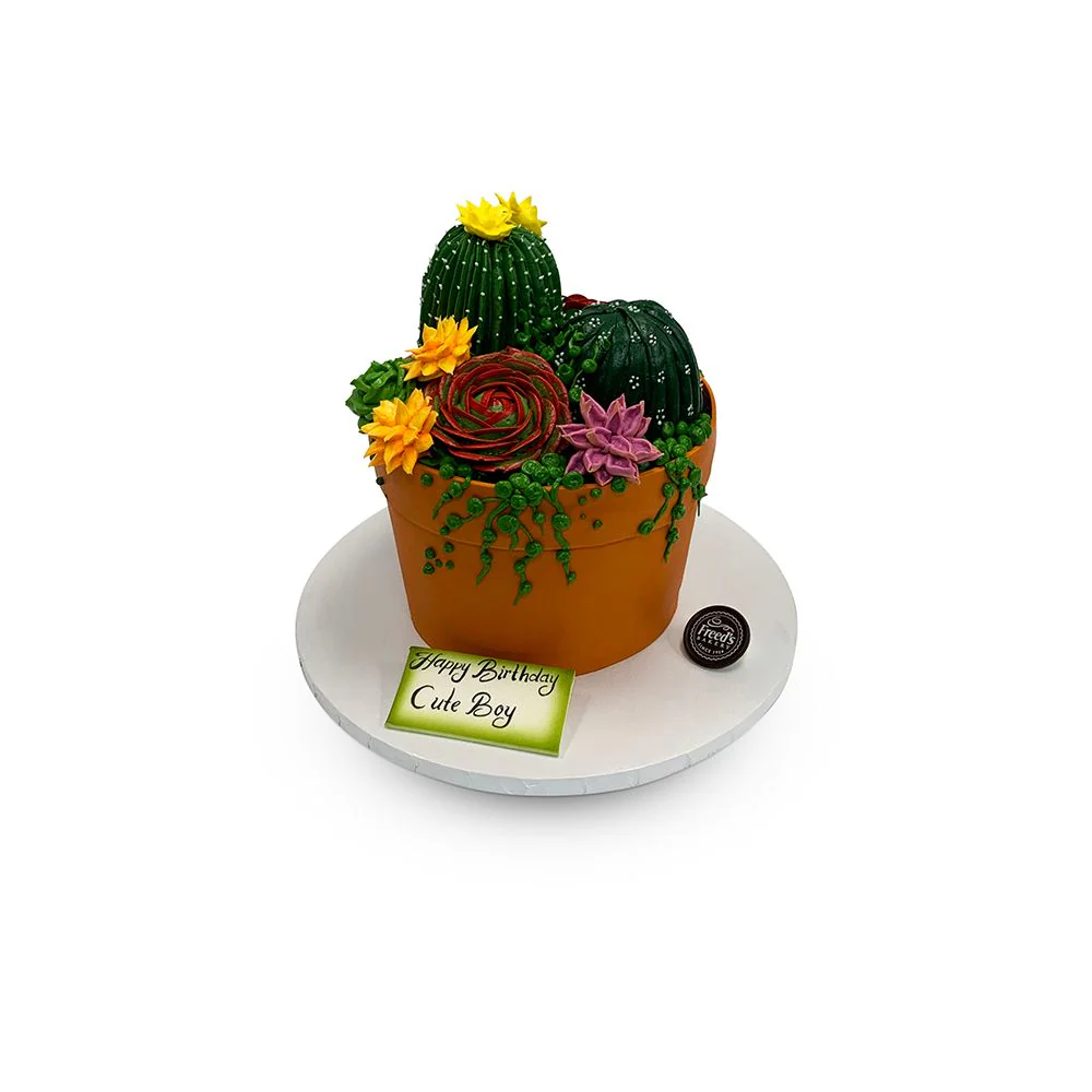Cactus Garden Cake