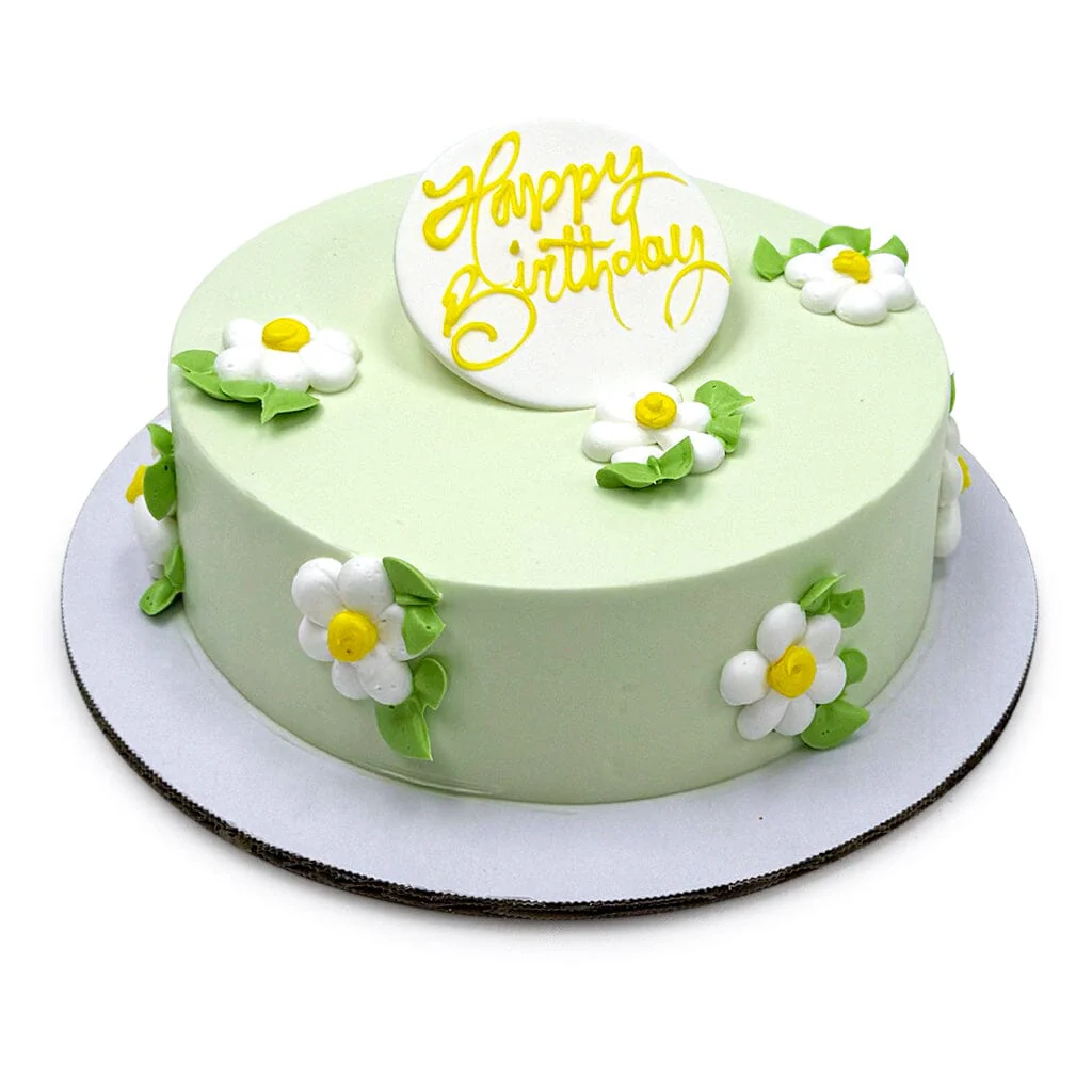 Green Daisy Bloom