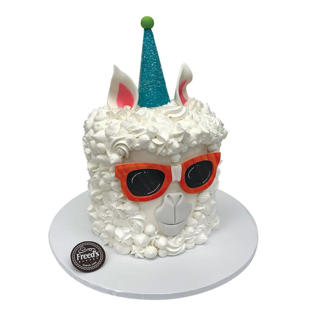 Party Llama
