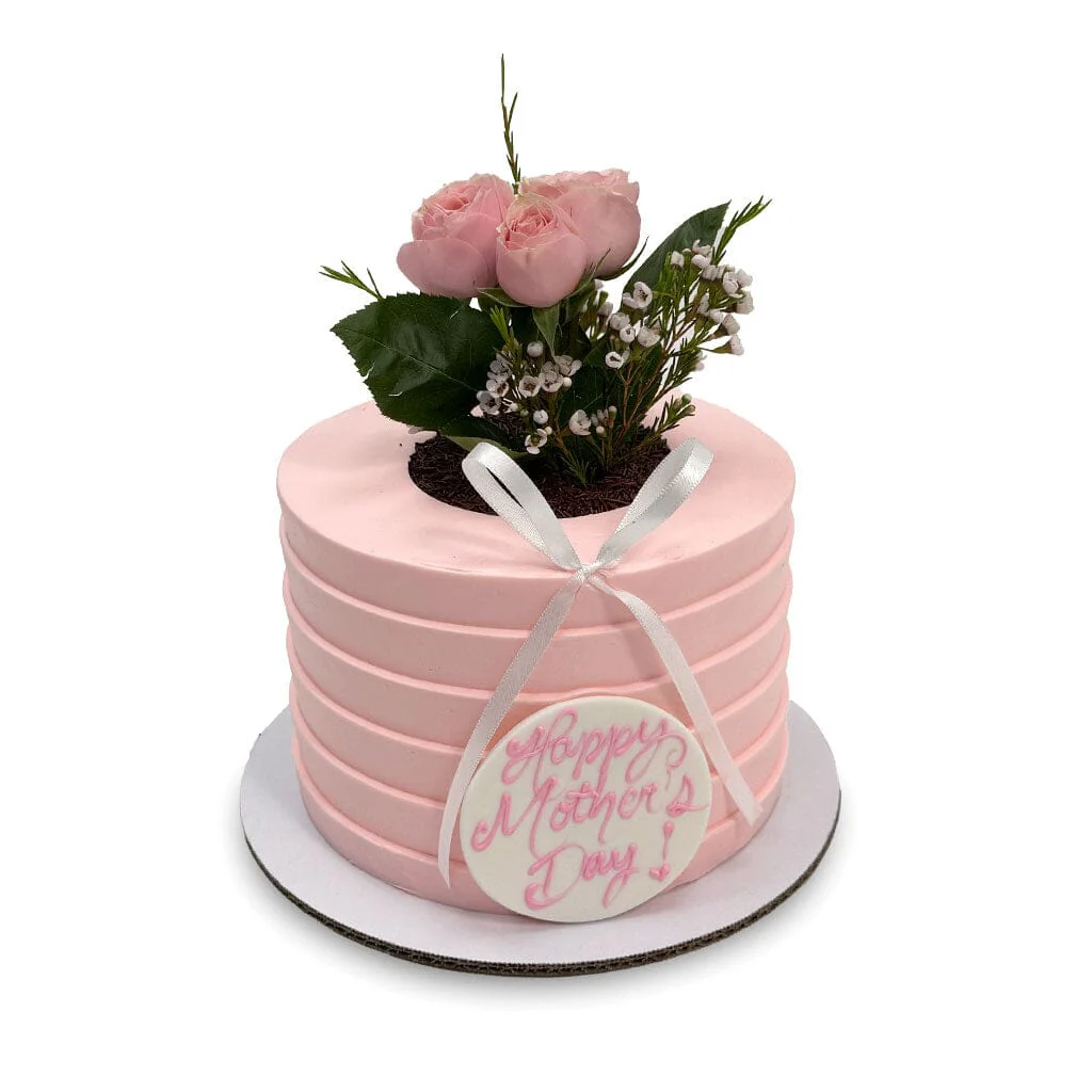 Potted Rose