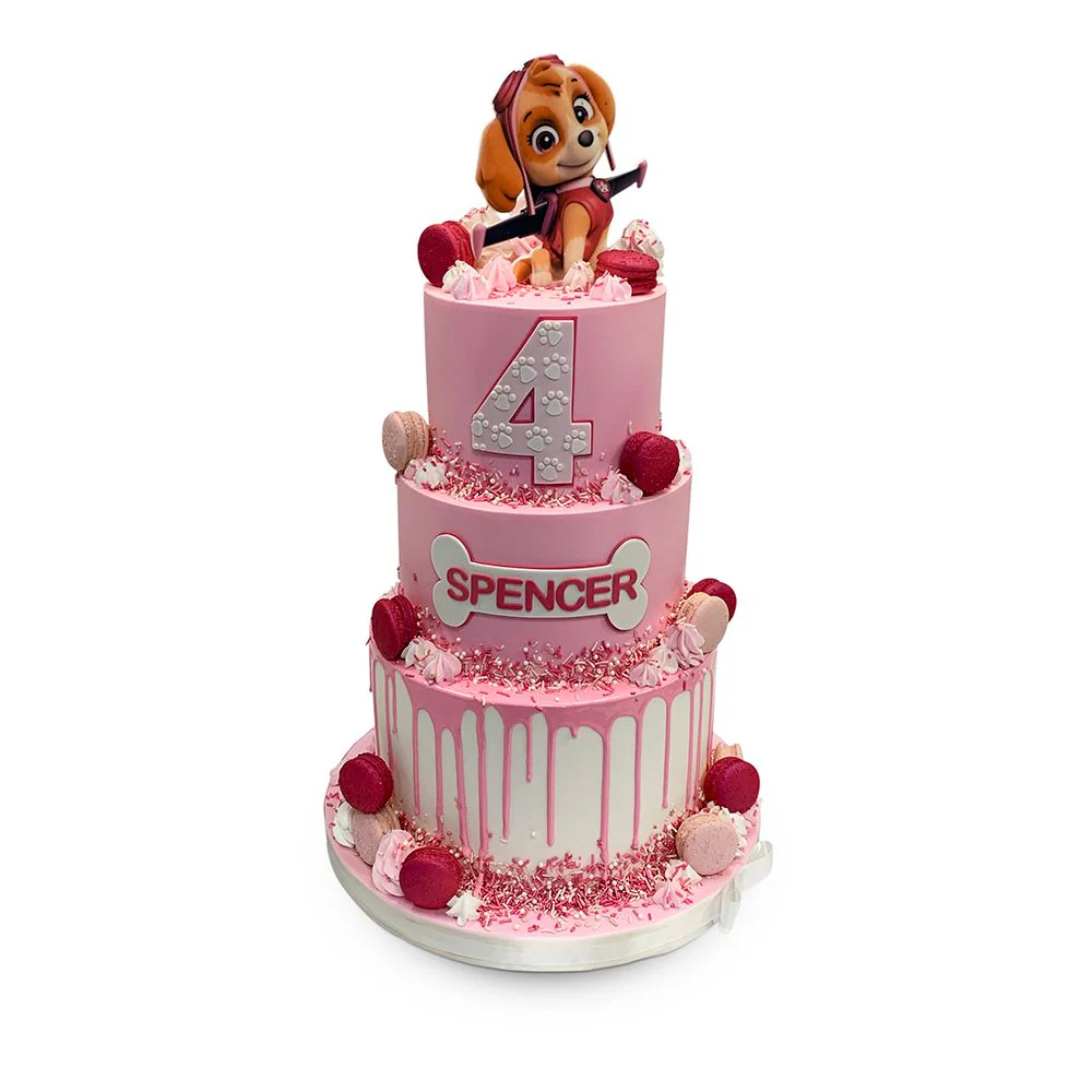 Pretty Pink Patrol Party