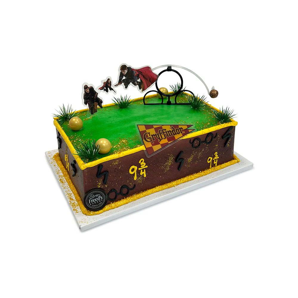 Quidditch Competition